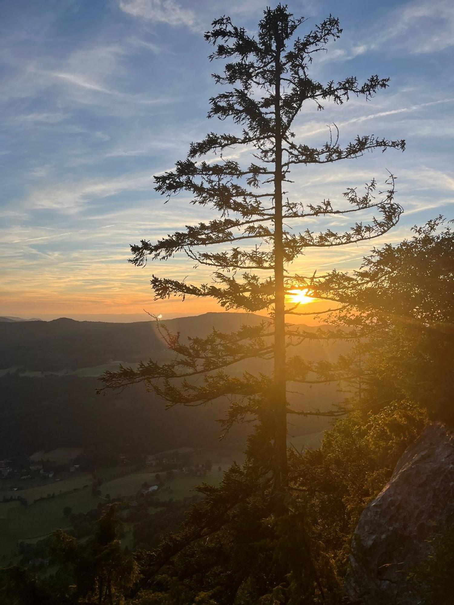 Gite La Morandiere Saint-Martin-en-Vercors المظهر الخارجي الصورة